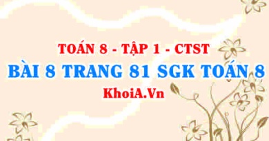 Bài 8 trang 81 SGK Toán 8 Tập 1 Chân trời sáng tạo
